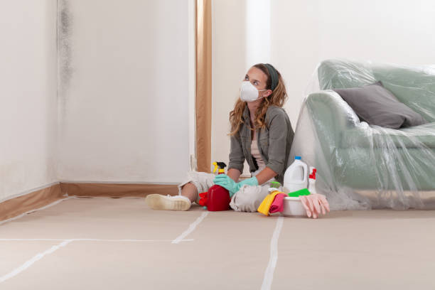 Reliable Basement Mold Removal contractor in Greenville, TX by WQB Mold Removal